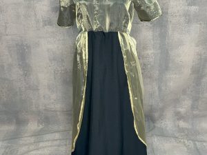 Regency Gown - RGW 509